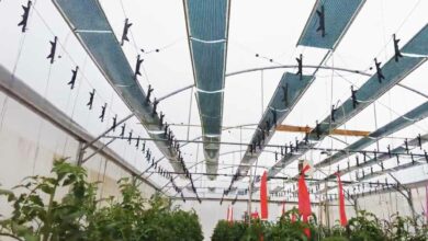 Développer la production agricole tout en produisant de l'électricité est possible.